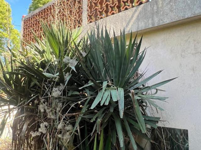 Vente Maison 3 pièces 66 m2 Montreuil