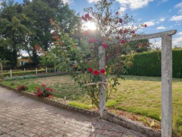 Vente Maison 3 pièces 66 m2 Teillay