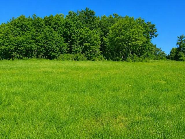 Vente Maison 3 pièces 75 m2 Celles