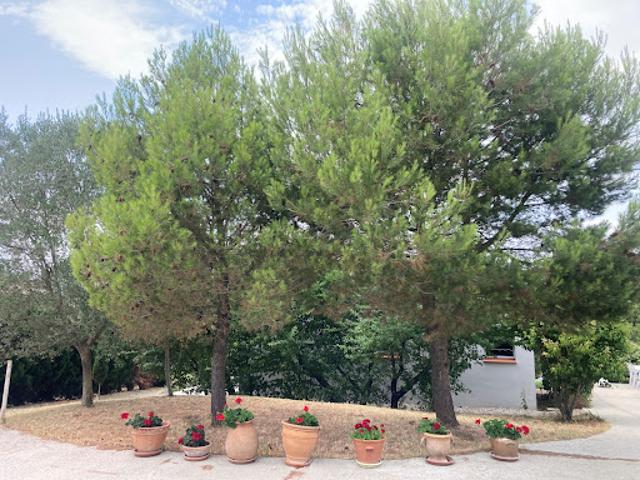 Vente Maison 3 pièces 75 m2 Montclar