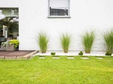 Vente Maison 3 pièces 76 m2 Carbon Blanc