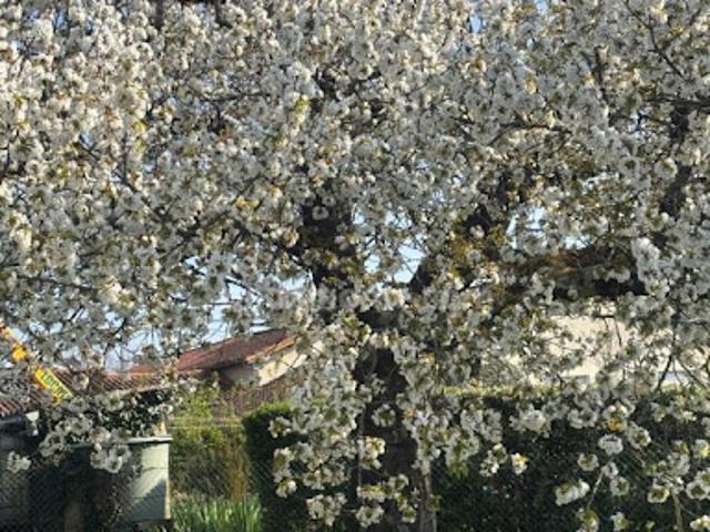 Vente Maison 3 pièces 58 m2 Angouleme