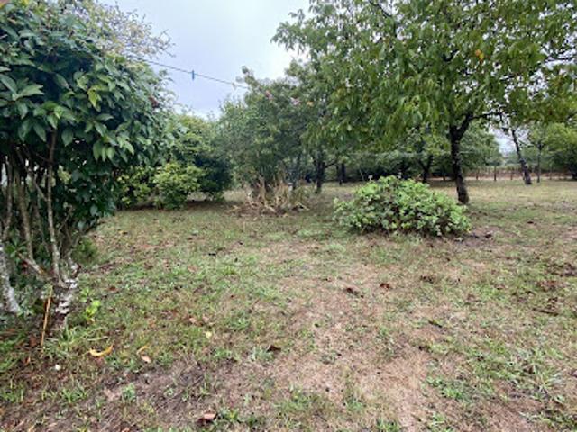 Vente Maison 3 pièces 76 m2 La Chapelle Montbrandeix