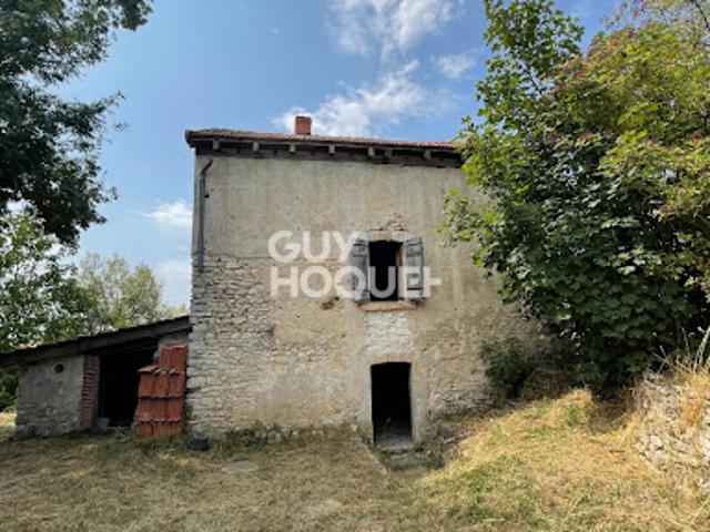 Vente Maison 3 pièces 76 m2 Plaimpied Givaudins