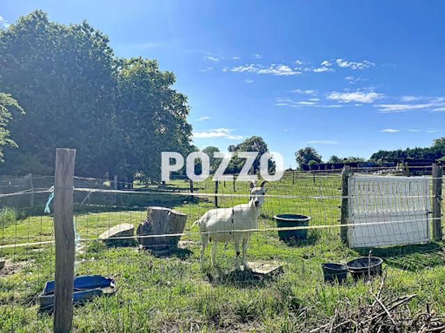 Vente Maison 3 pièces 79 m2 Planquery