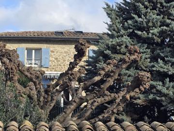 Vente Maison 3 pièces 100 m2 Romans sur isere