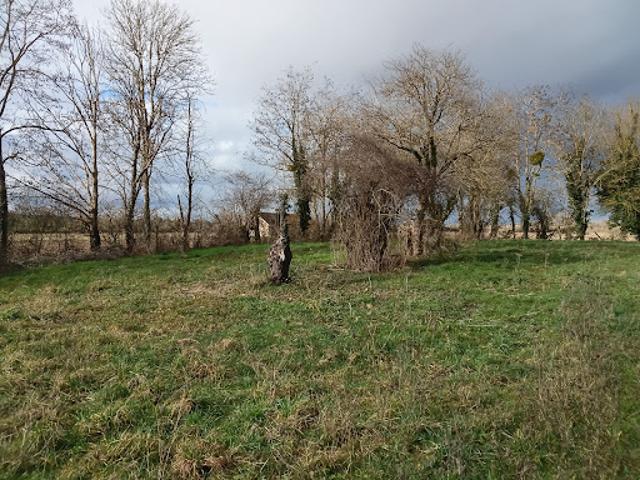 Vente Maison 3 pièces 85 m2 Baugy