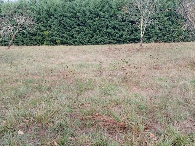 Vente Maison 3 pièces 85 m2 Lisle