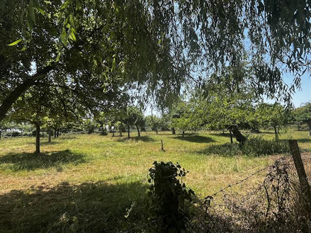 Vente Maison 5 pièces 86 m2 Vimoutiers