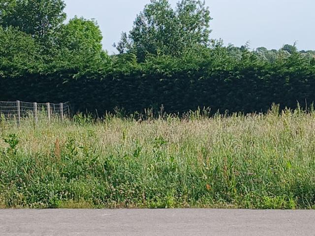 Vente Maison 3 pièces 90 m2 Mametz