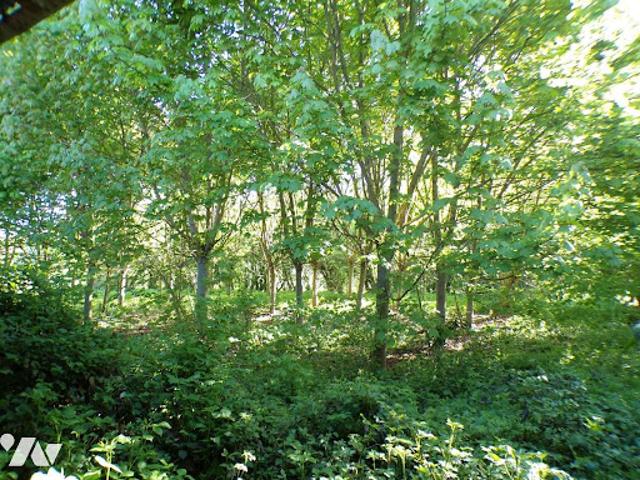 Vente Maison 3 pièces 98 m2 Aubermesnil aux Erables