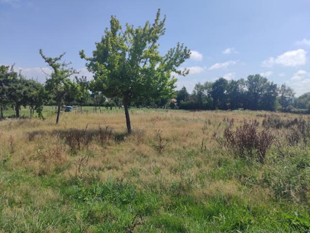 Vente Maison 3 pièces 99 m2 Saint Martin aux Chartrains