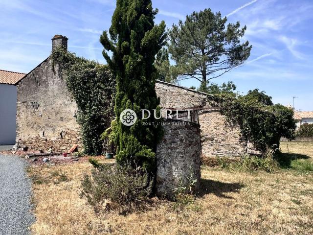 Vente maison 3 pièces Montaigu 85