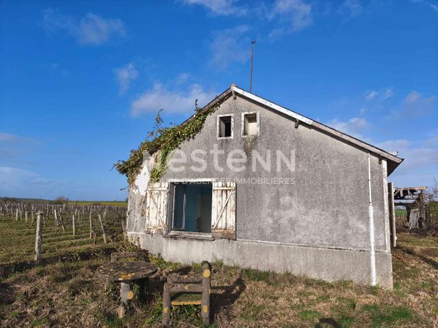 Vente maison 3 pièces Nueil sur Layon 49