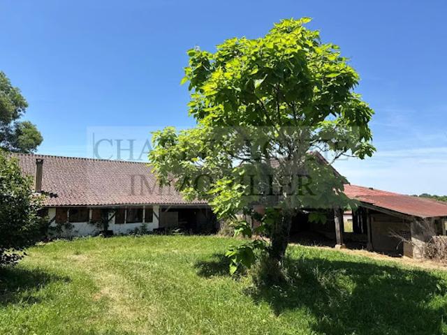 Vente Maison 3 pièces Villefranche du Périgord