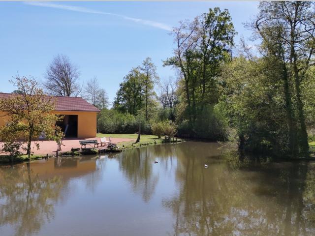 Vente maison 10 Pièce s 348m² Vichy