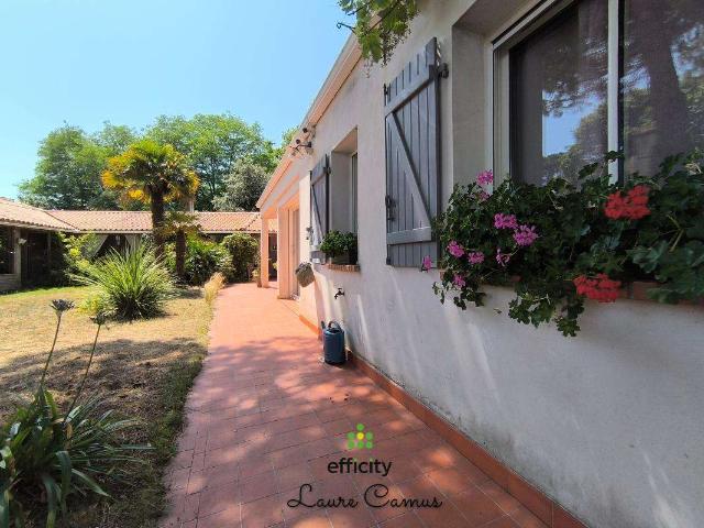 Vente maison 10 pièces Jard sur Mer 85