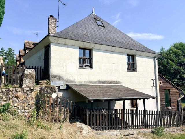 Vente maison 10 pièces Le Grand Lucé 72