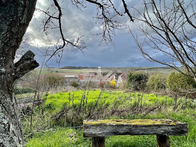 Vente Maison 10 pièces 190 m2 Jonchery sur Vesle