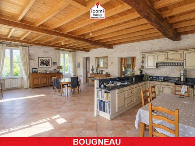 Vente Maison 10 pièces 1000 m2 Bougneau