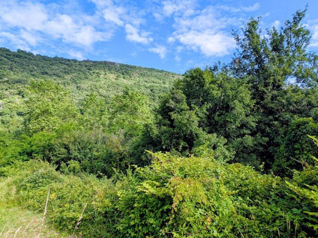 Vente Maison 10 pièces 131 m2 Bolozon
