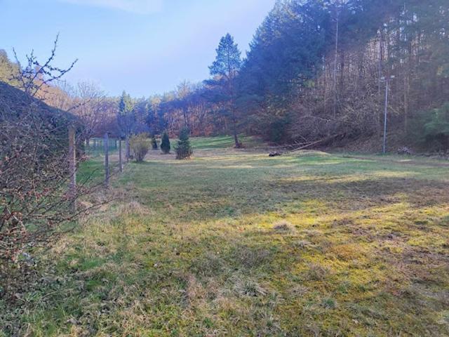 Vente Maison 10 pièces 250 m2 Philippsbourg