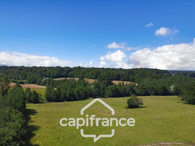 Vente Maison 10 pièces 257 m2 Commenailles