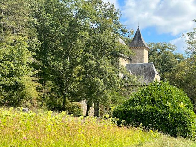 Vente Maison 10 pièces 265 m2 Montignac