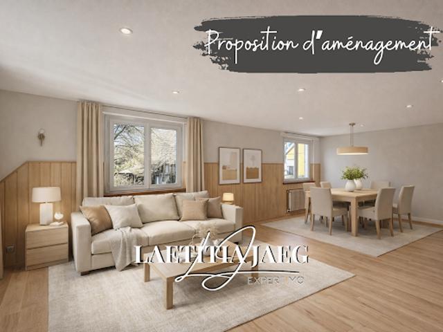 Vente Maison 10 pièces 272 m2 Sundhouse