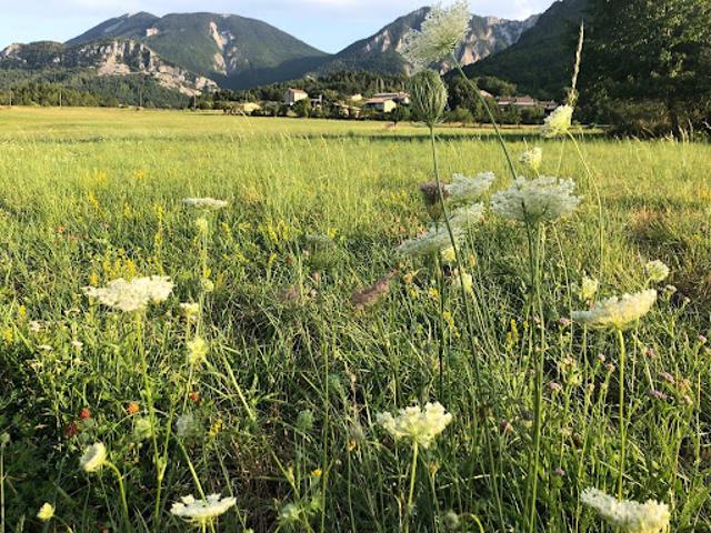 Vente Maison 10 pièces 278 m2 Sisteron