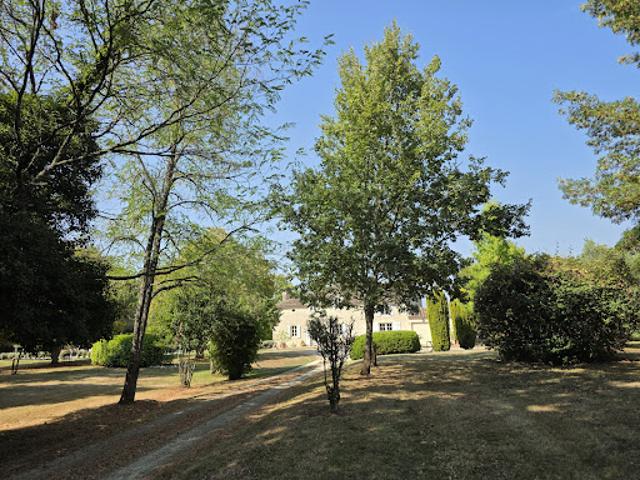 Vente Maison 10 pièces 280 m2 Larroque sur l'Osse
