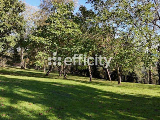 Vente Maison 10 pièces 282 m2 Estandeuil