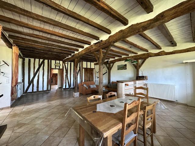 Vente Maison 10 pièces 295 m2 L'Isle en Dodon