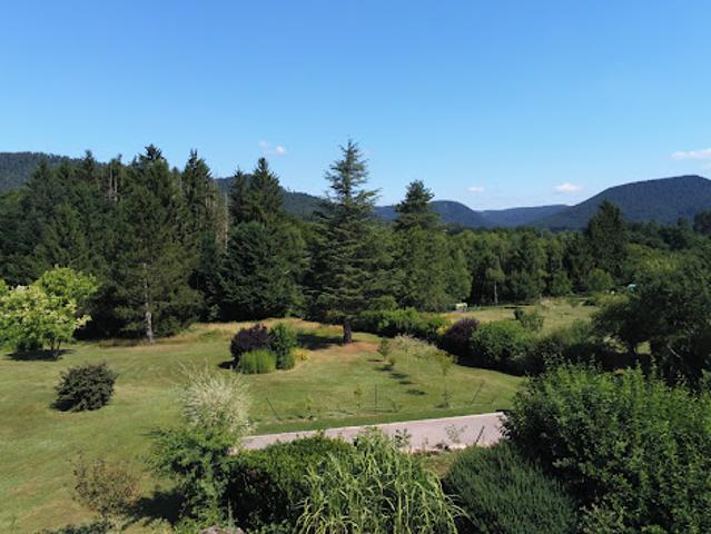 Vente Maison 10 pièces 200 m2 Saint die des vosges