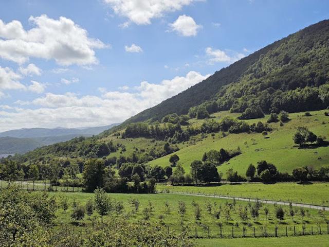 Vente Maison 10 pièces 202 m2 Raissac