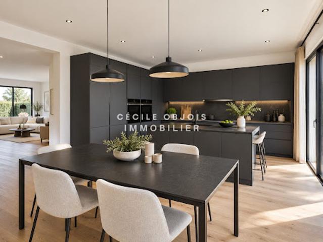 Vente Maison 10 pièces 220 m2 Maisons Alfort