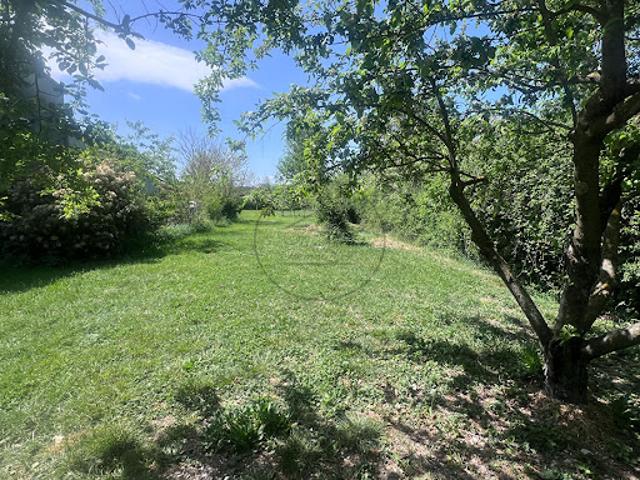 Vente Maison 10 pièces 226 m2 Barjac