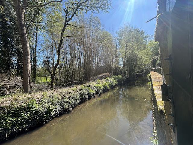 Vente Maison 10 pièces 353 m2 Aubigny sur Nère