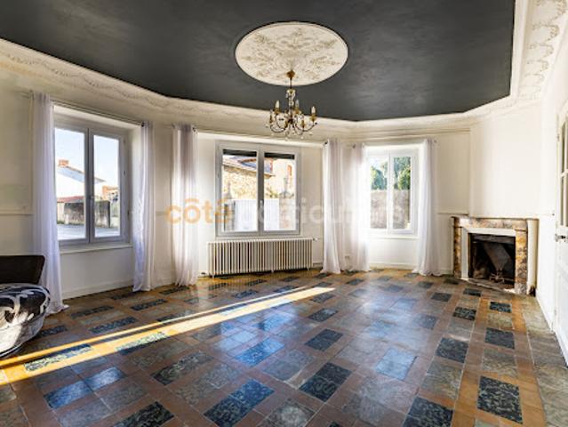 Vente Maison 10 pièces 360 m2 Vieillevigne