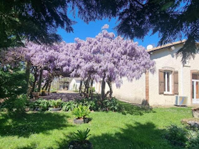 Vente Maison 10 pièces 360 m2 Lavit