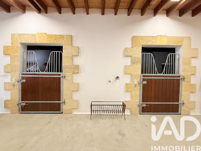Vente Maison 10 pièces 380 m2 Montpon Ménestérol