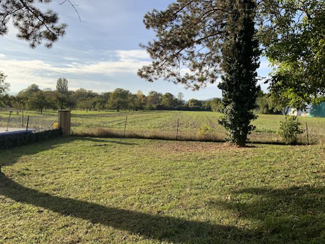 Vente Maison 10 pièces 303 m2 Muttersholtz