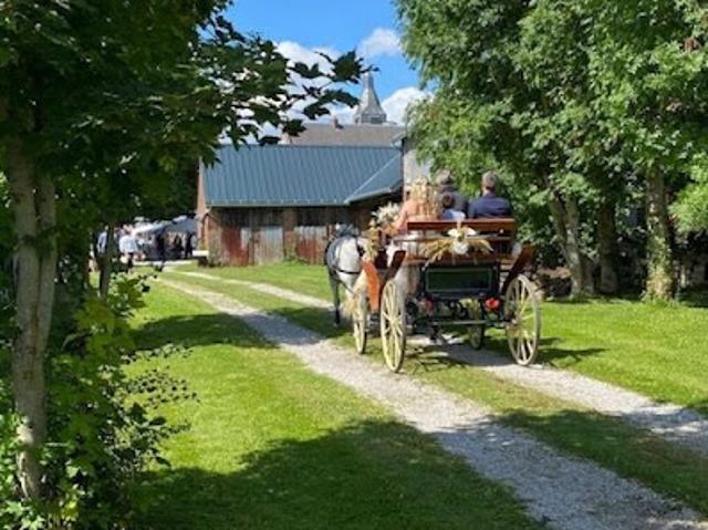 Vente Maison 10 pièces 300 m2 Avesnes le Comte