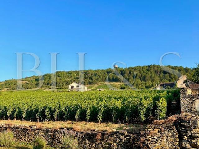 Vente Maison 10 pièces 300 m2 Beaune