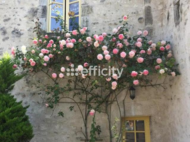 Vente Maison 10 pièces 307 m2 Charroux