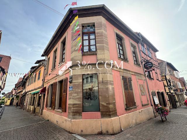 Vente Maison 10 pièces 333 m2 Bouxwiller