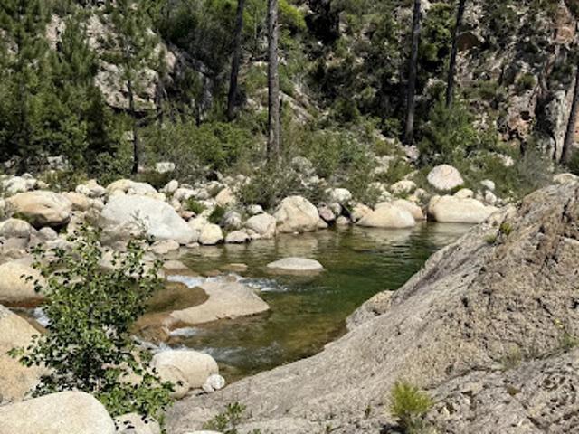 Vente Maison 10 pièces 480 m2 Sari Solenzara