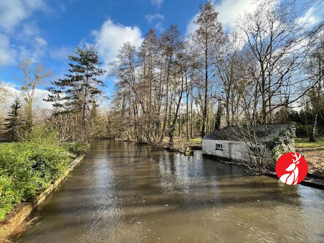 Vente Maison 10 pièces 600 m2 Gironville sur Essonne