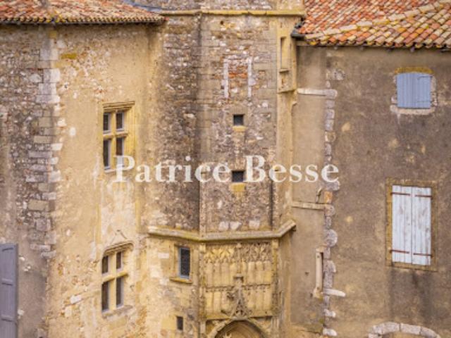 Vente Maison 10 pièces 790 m2 Aurignac