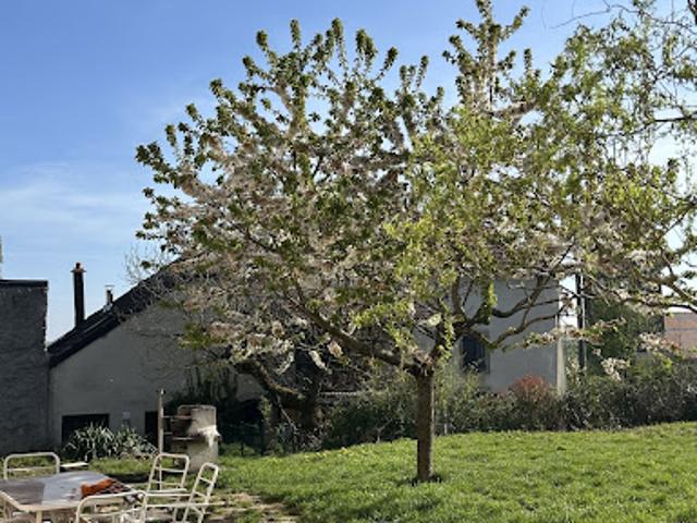 Vente Maison 11 pièces 240 m2 Arpenans